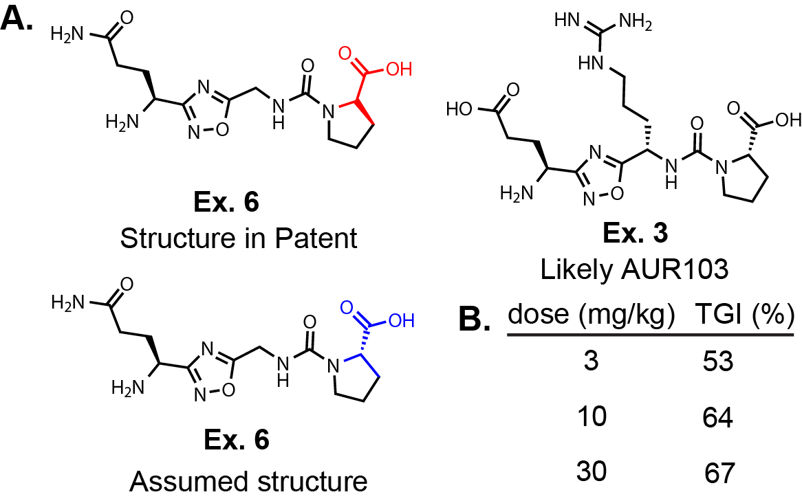 Enlarged Image